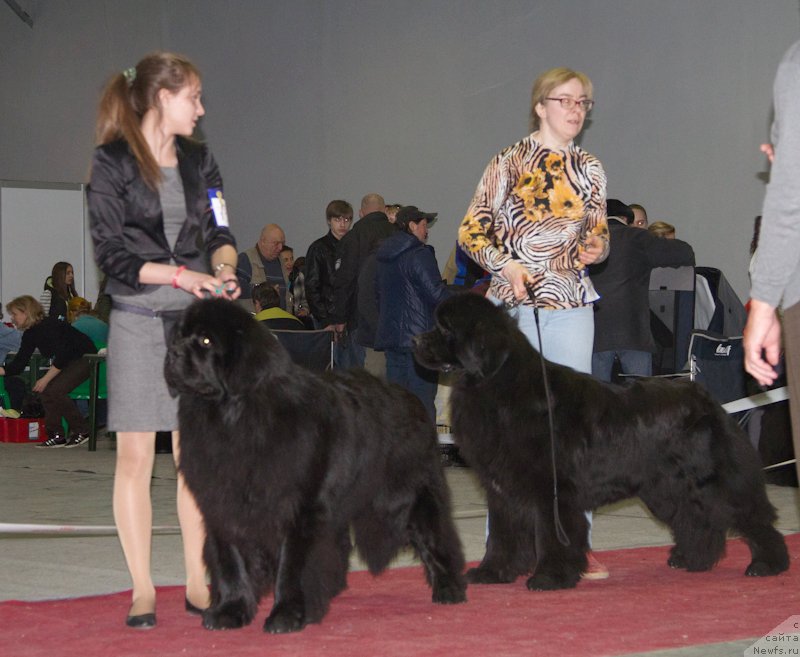 Фотография № 180273