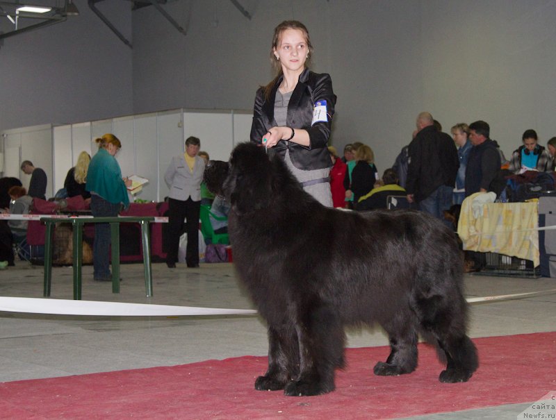 Фотография № 180275