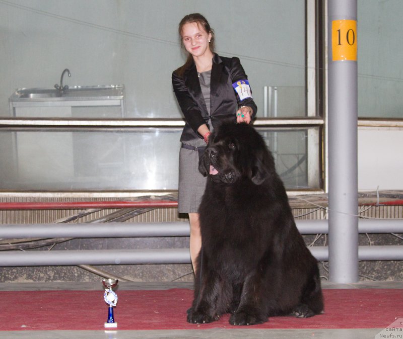 Фотография № 180276