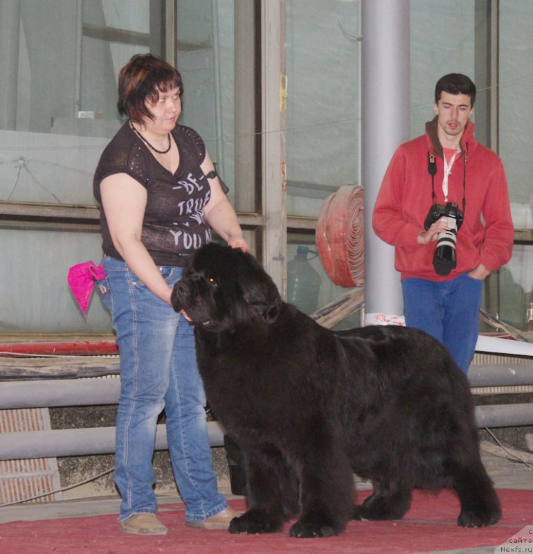 Фотография № 180283