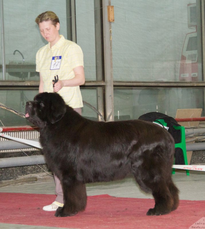 Фотография № 180286