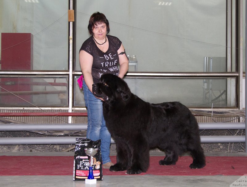 Фотография № 180288