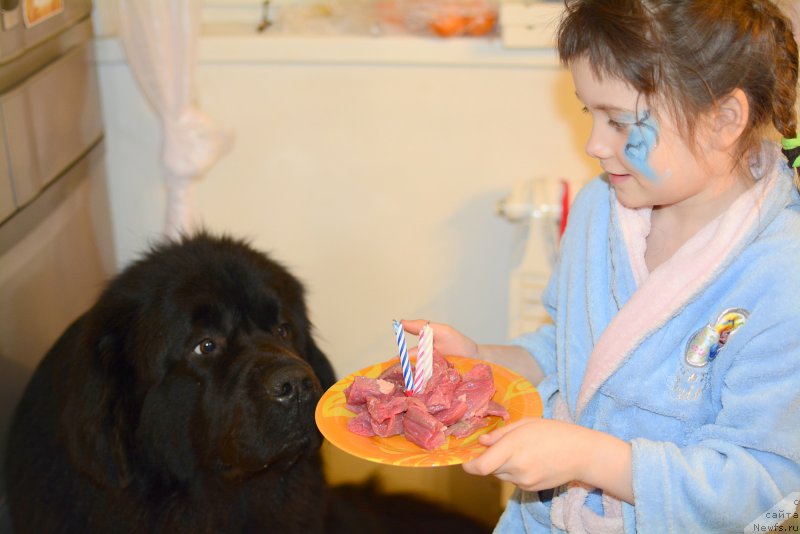 Фотография № 180289