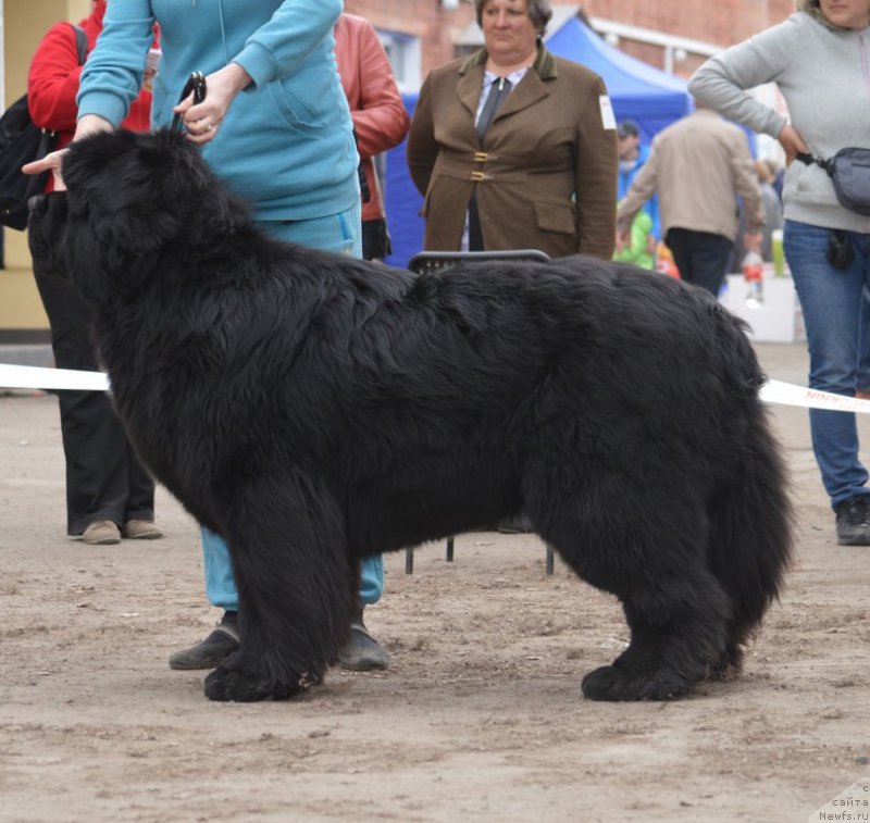 Фотография № 180305