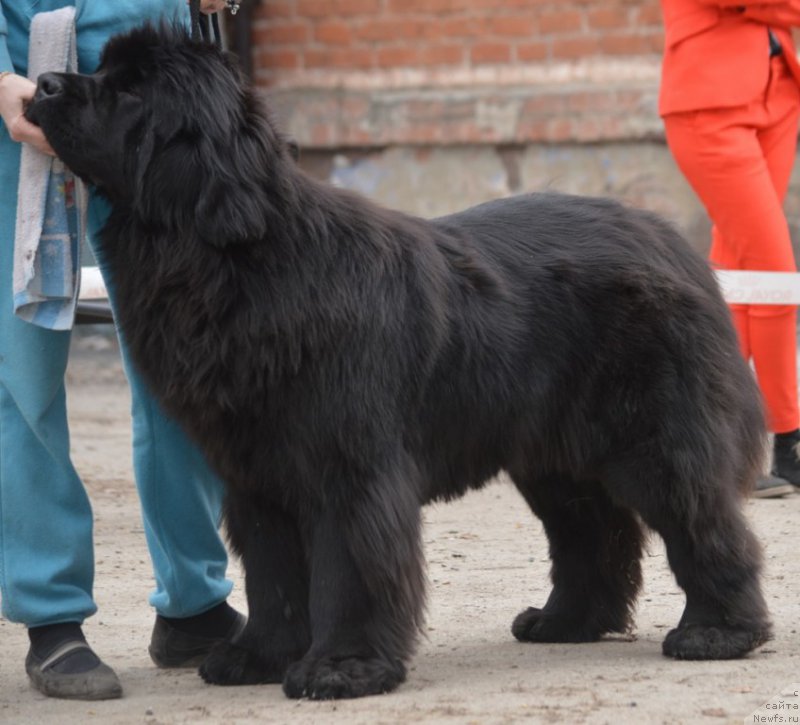 Фотография № 180307