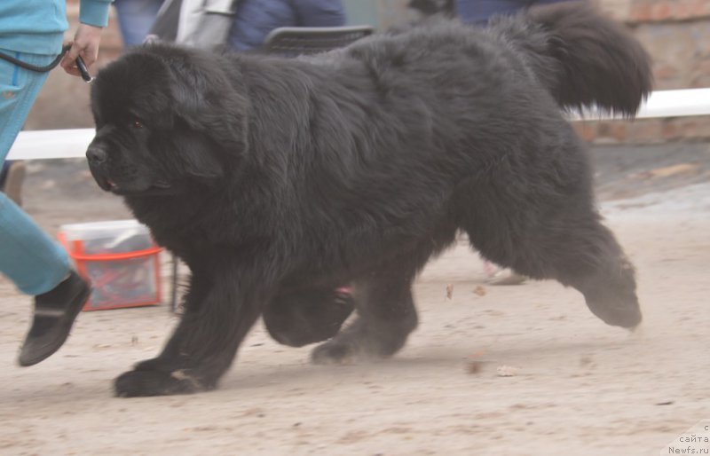 Фотография № 180310