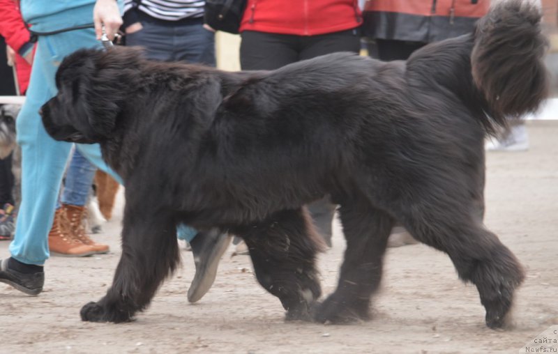 Фотография № 180311