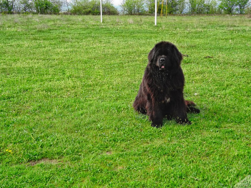 Фотография № 180331