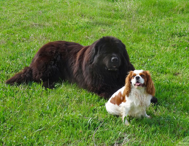 Фотография № 180332