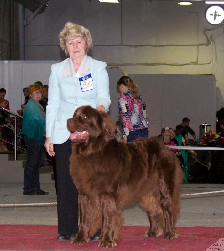 Фотография № 180352