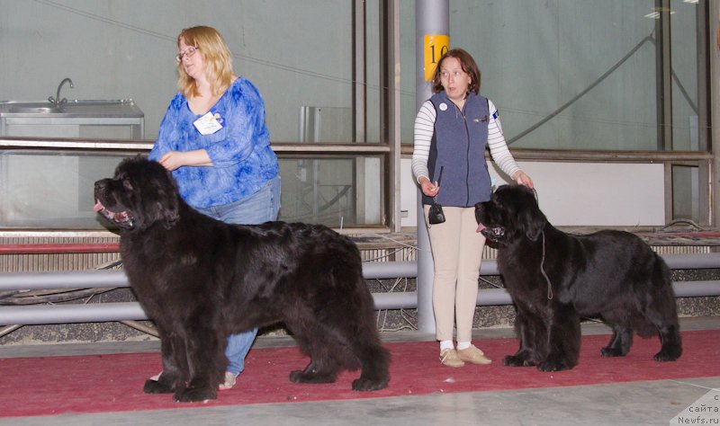 Фотография № 180356