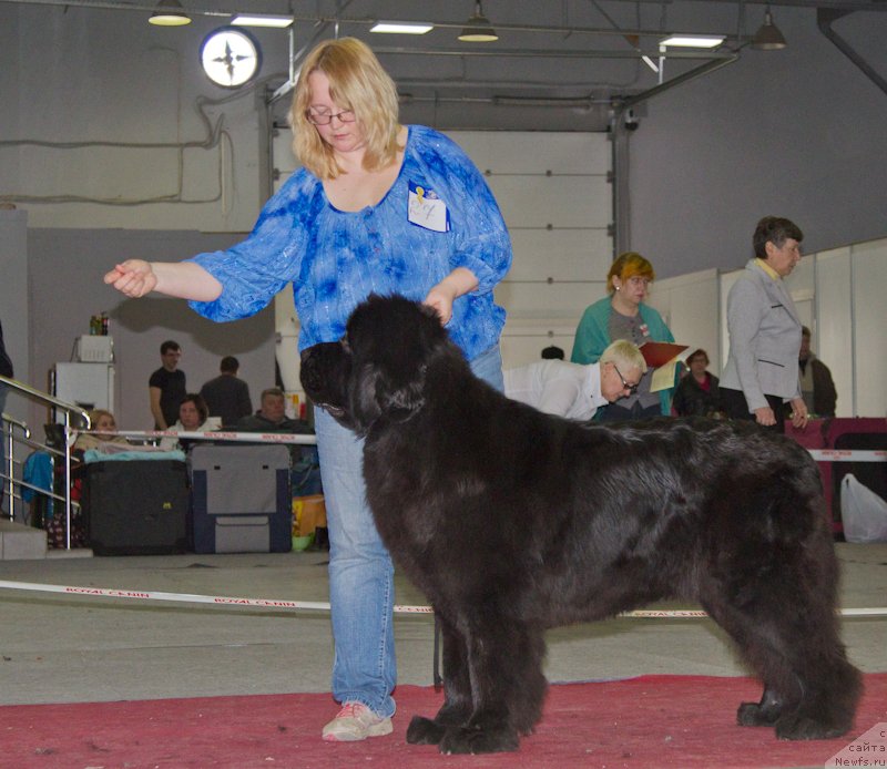 Фотография № 180357