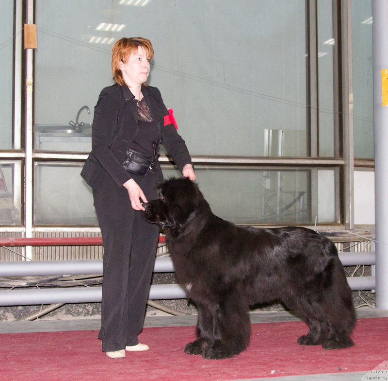 Фотография № 180360