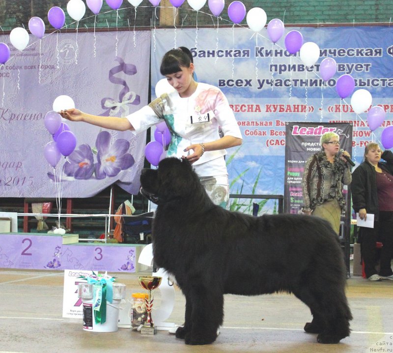 Фотография № 180361