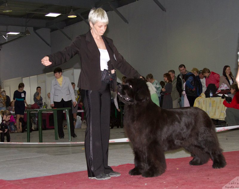 Фотография № 180367