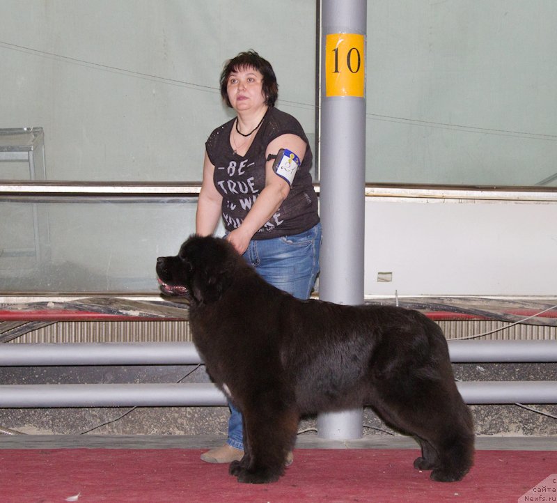 Фотография № 180368