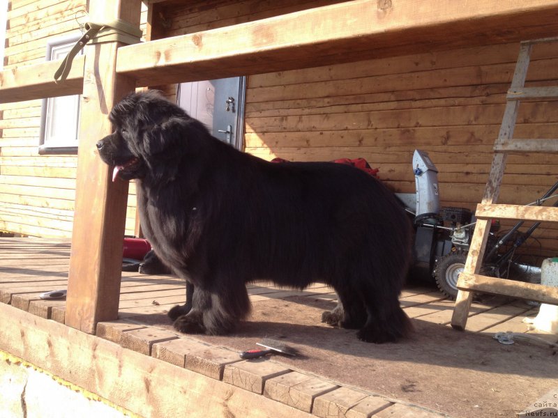 Фотография № 180401