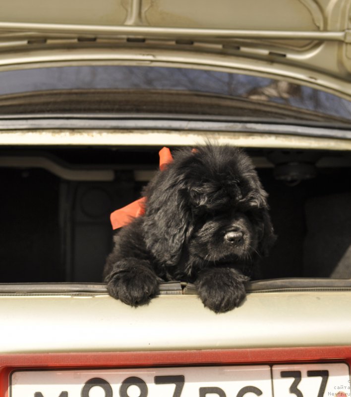 Фотография № 180426