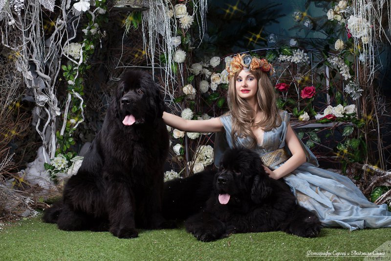 Фотография № 180477