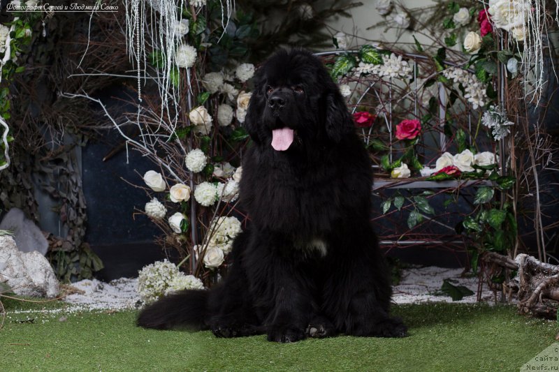 Фотография № 180479