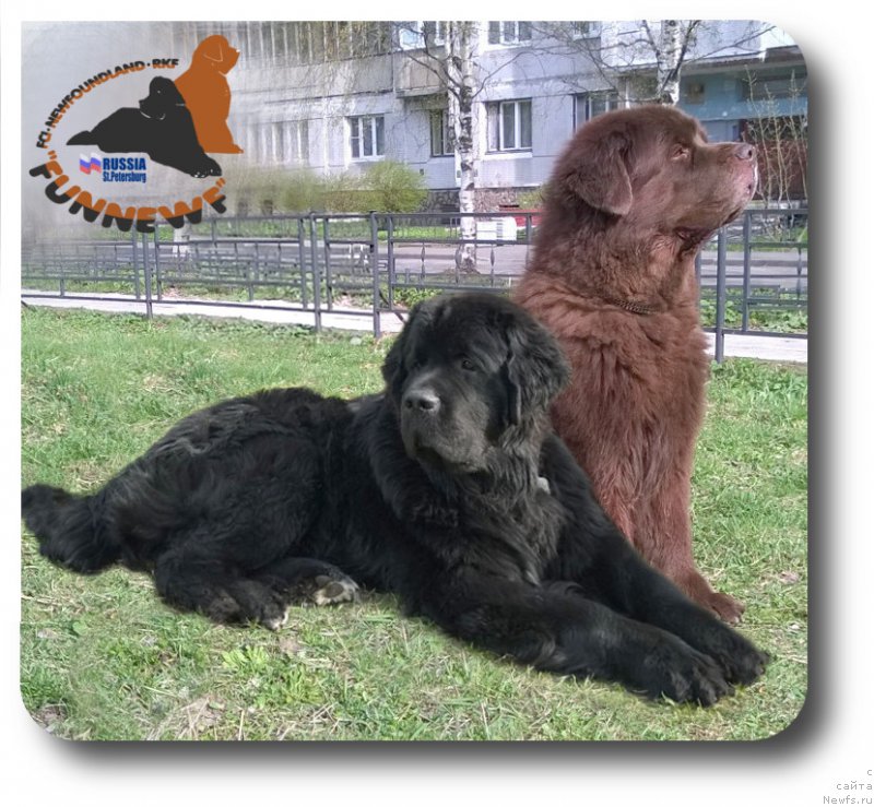 Фотография № 180483