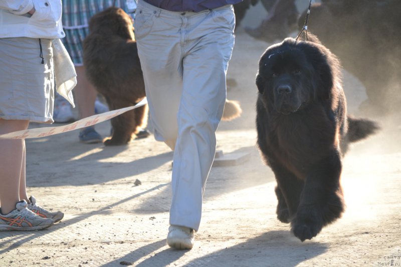 Фотография № 180494