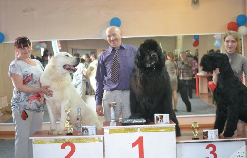 Фотография № 180502