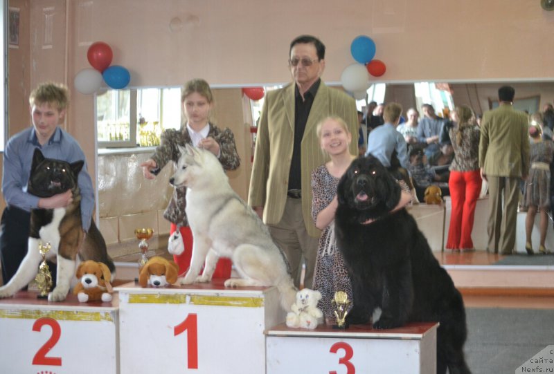 Фотография № 180509