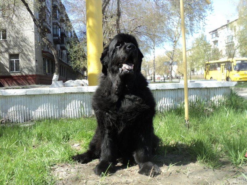 Фотография № 180558