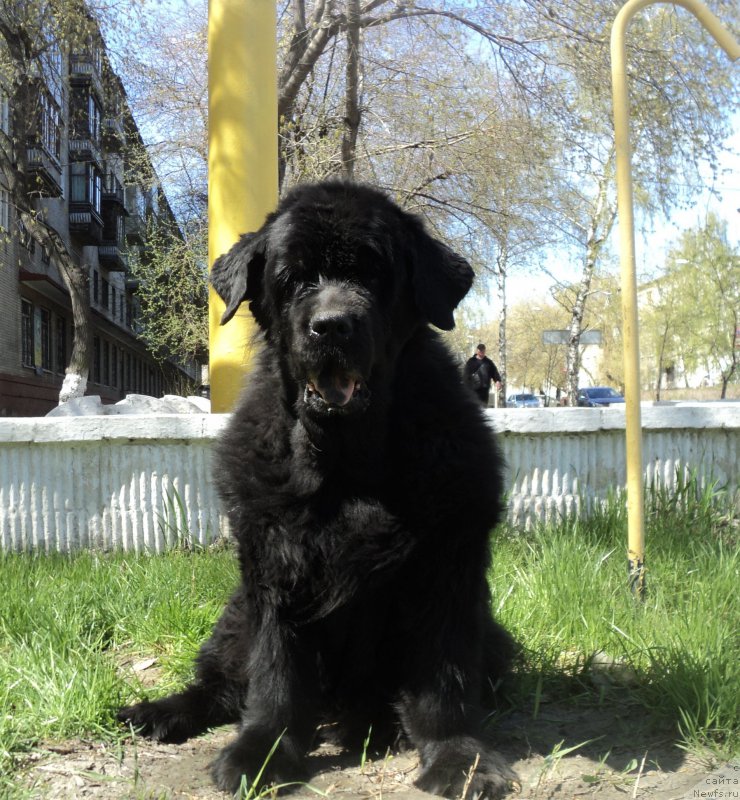 Фотография № 180561