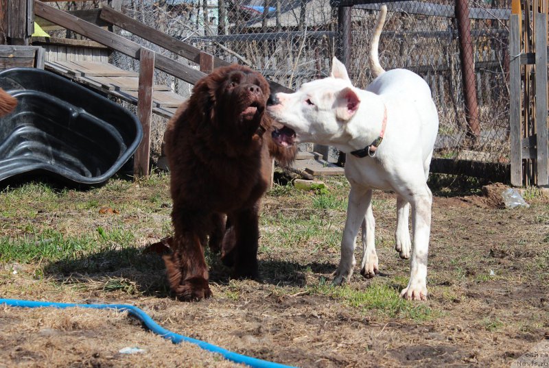 Фотография № 180564