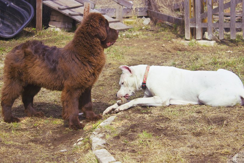 Фотография № 180569