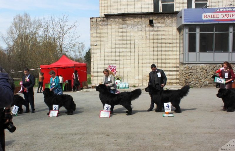 Фотография № 180580