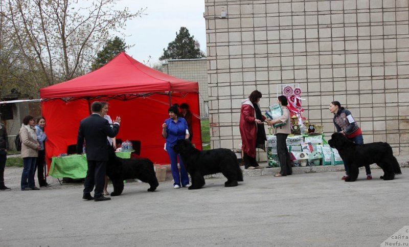 Фотография № 180581