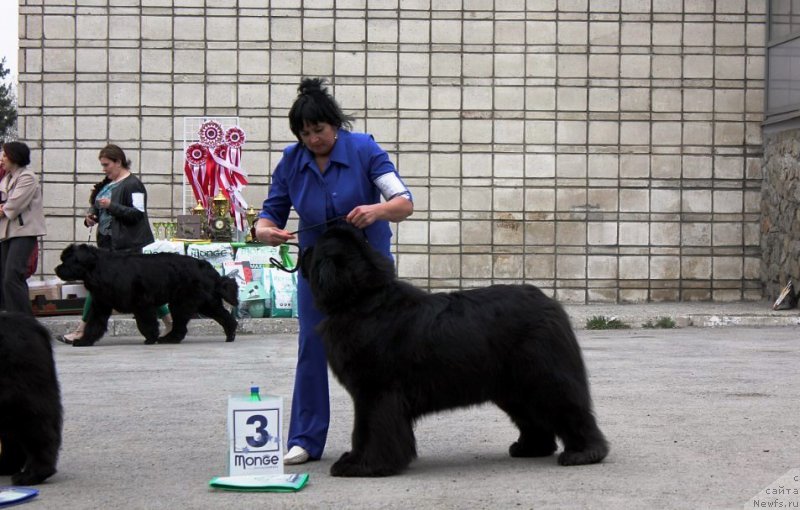 Фотография № 180582