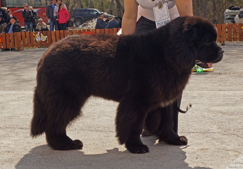 Фотография № 180586