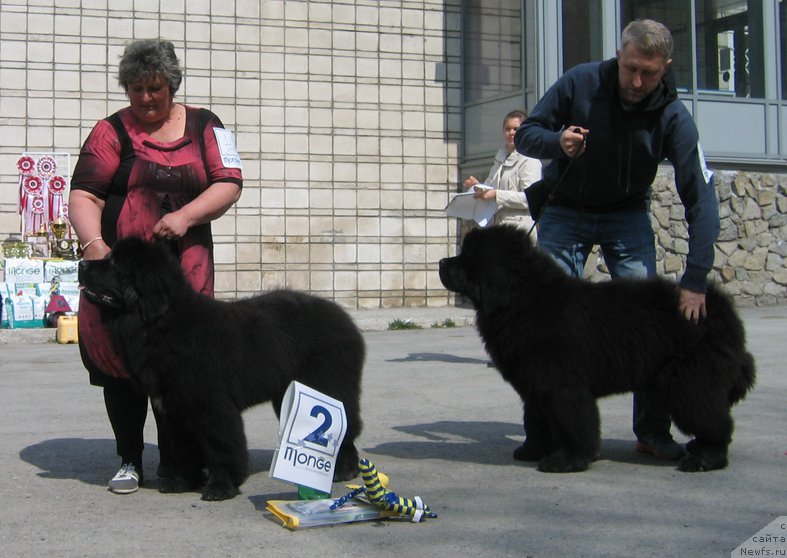 Фотография № 180589