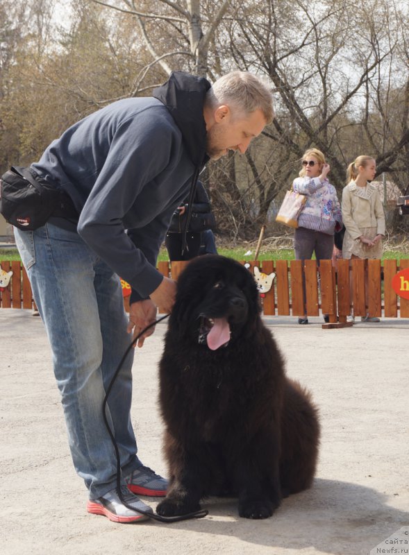 Фотография № 180593