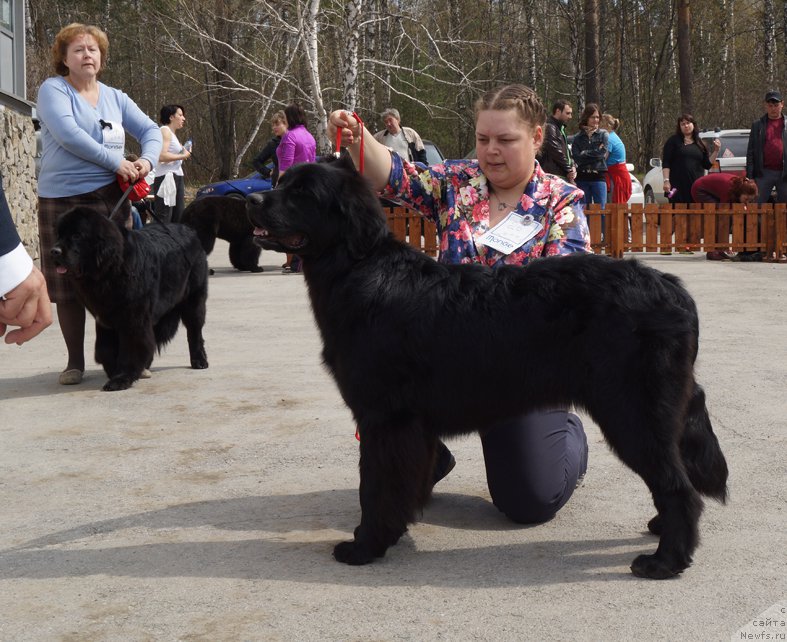 Фотография № 180601