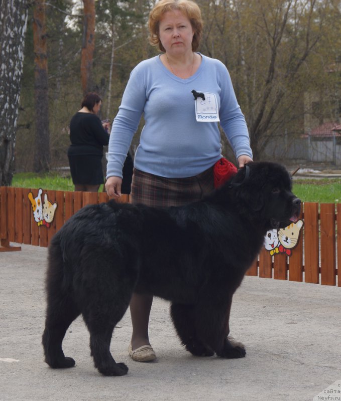 Фотография № 180602