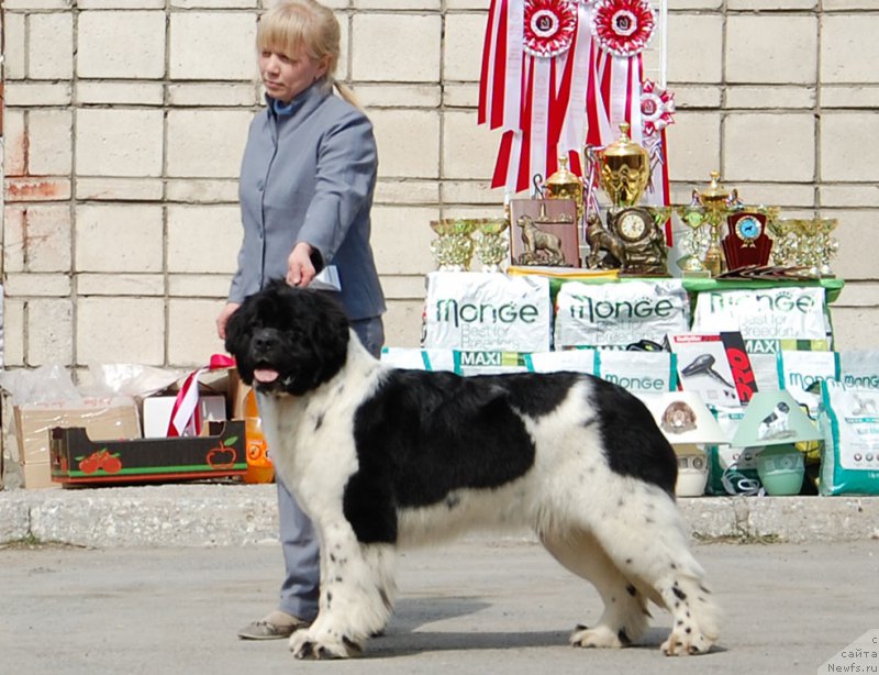 Фотография № 180605