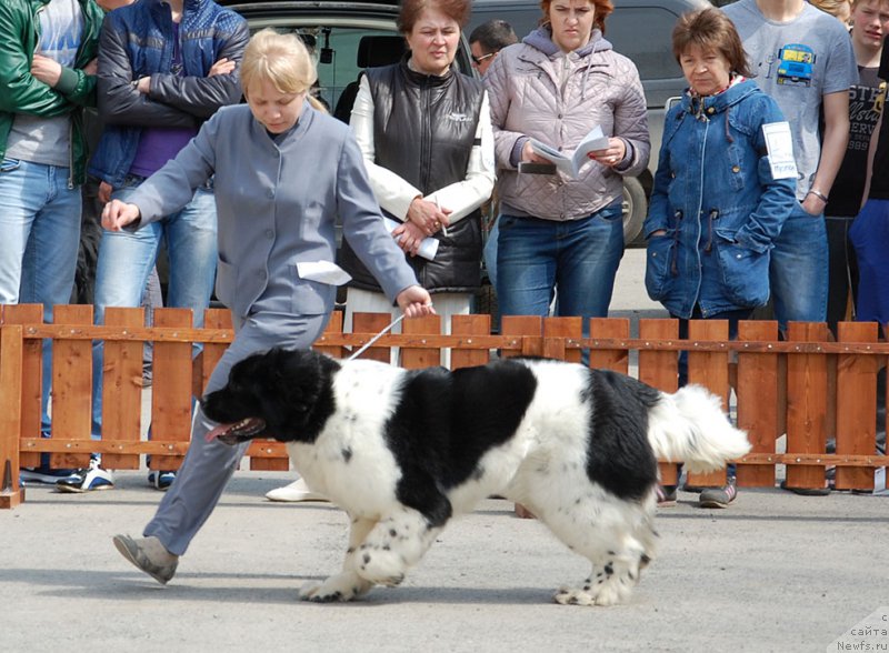 Фотография № 180607