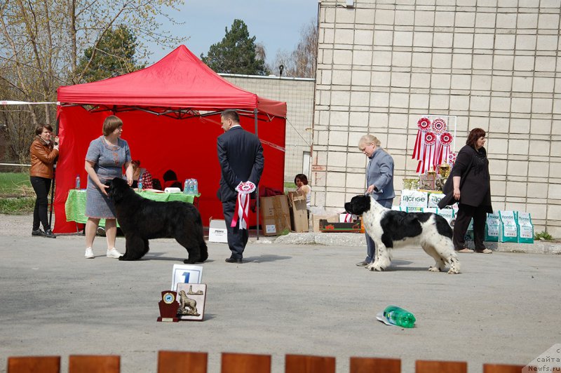 Фотография № 180611