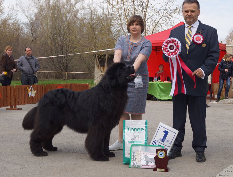 Фотография № 180621