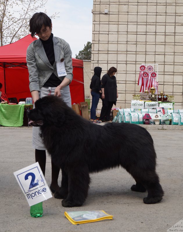 Фотография № 180622