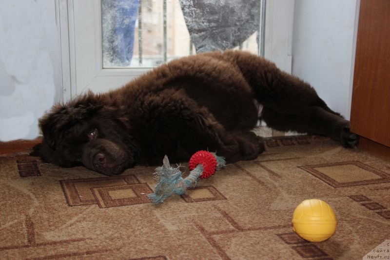 Фотография № 180626