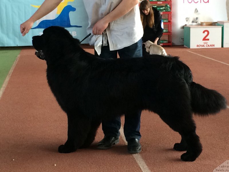 Фотография № 180632