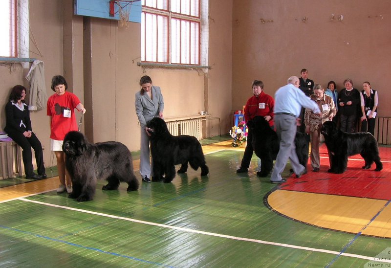 Фотография № 180656