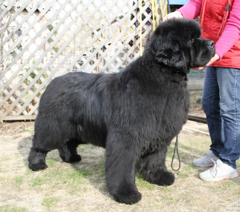 Фотография № 180659