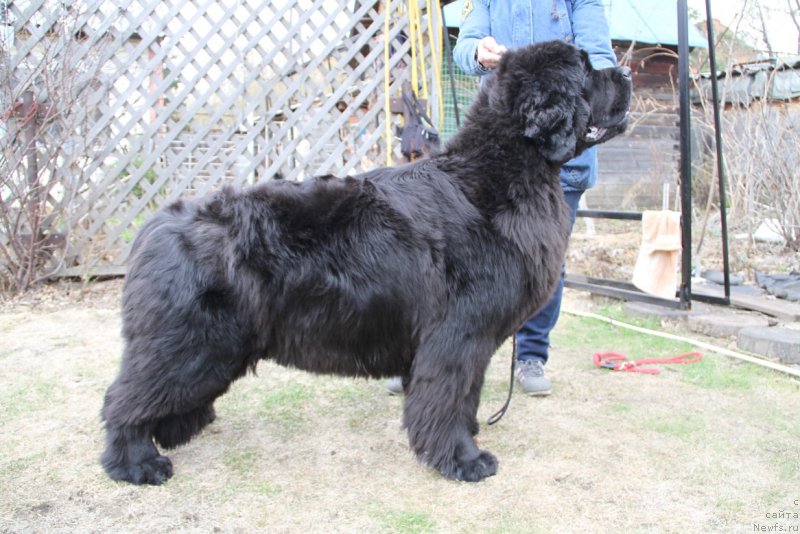 Фотография № 180660